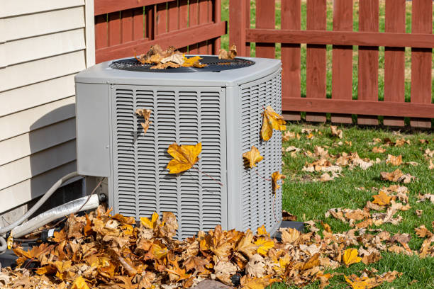Best HVAC air duct cleaning  in Norman Park, GA